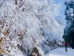 -南岳衡山风景名胜区