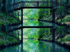 -同里国家湿地公园