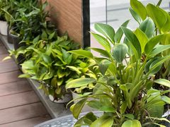 -铂顿国际公寓(广州长隆野生动物世界店)