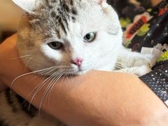 -云端咖啡私房店(河松街店)