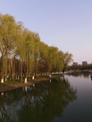 -红馆·发喆院