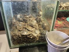 -钱小奴创意自助餐厅·原切谷饲安格斯畅吃(宁波慈溪爱琴海店)