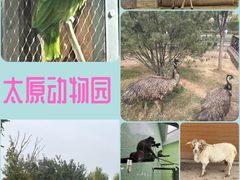 -太原动物园