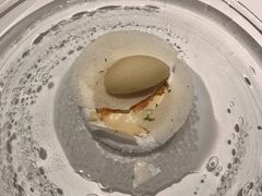-BLACKSWAN黑天鹅(环球店)