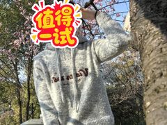 -香雪海