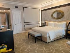 -澳门威尼斯人综合度假区