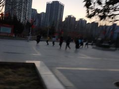 -朗悦公园茂