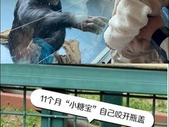 -无锡动物园·太湖欢乐园