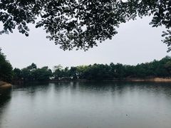 -南京市无想山景区