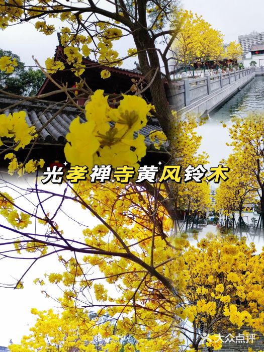 光孝寺图片