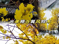 -光孝寺
