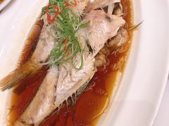 -沪碟·精菜坊(闵行店)