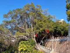 -船政文化景区-罗星塔公园