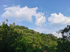 -广州市白云山风景名胜区