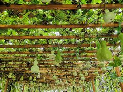 -中国天府农业博览园