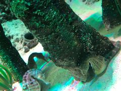 -沈阳海洋探索中心