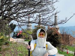 -长沙黑麋峰国家森林公园