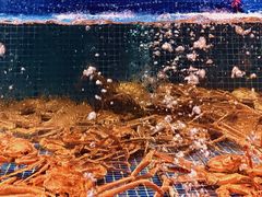 -东海怡品海鲜豆捞(星街坊店)