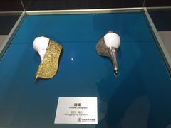 -青岛贝壳博物馆