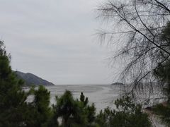 -北岐滩涂