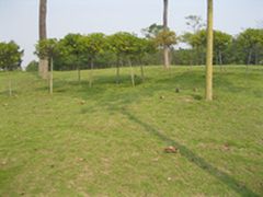 景点-济南国际园博园