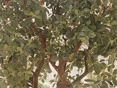 -悦海·家宴·冰花皮皮虾大锅贴(宝龙店)
