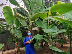 -北戴河集发农业梦想王国