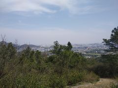 -灵岩山风景区