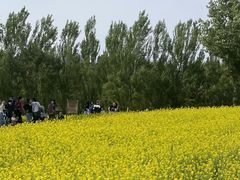 -长白岛森林公园