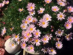 iphone_upload_pic-湖丝栈