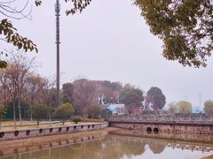 -金沙湖公园