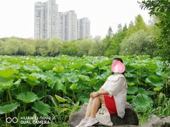 -高子水居