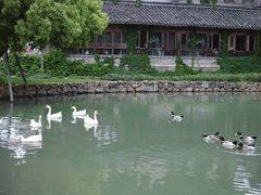 -乌村