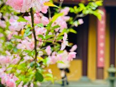 -慧因高丽寺