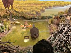 -陕西自然博物馆