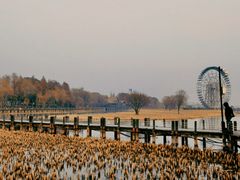 -苏州太湖湖滨国家湿地公园