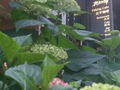 -北平国际青年旅舍(南锣鼓巷店)