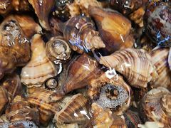 -老虎滩船说·海胆水饺·大连海鲜(老虎滩店)