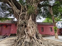 -闽粤南澳总镇府