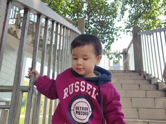 -晓港公园