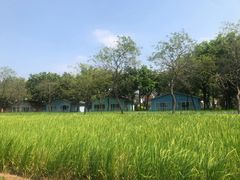 -广东花都香草世界旅游度假区