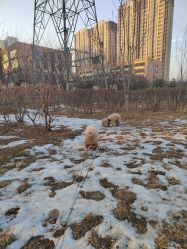 -HEYAN荷妍专业脱毛连锁机构