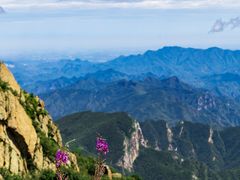 -白草畔自然风景区