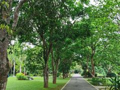 -中国科学院西双版纳热带植物园