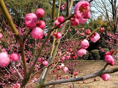 -白塘生态植物园