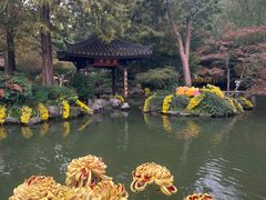 -杭州植物园