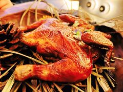 -Hi City·城市之巅