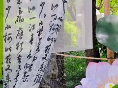 -厦门园林博览苑