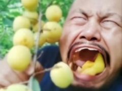 -雅鲁激流探险漂流