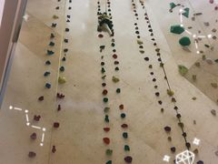 -ROCKPLUS攀岩馆(环宇城店)